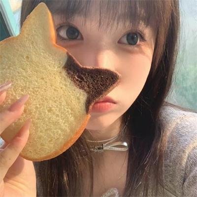 小熊历险记