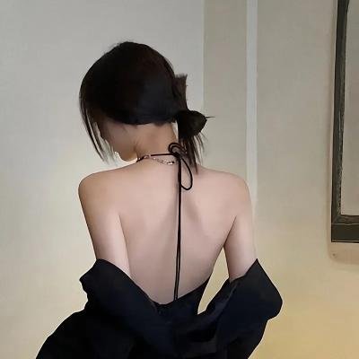 凡妮莎海辛第五季